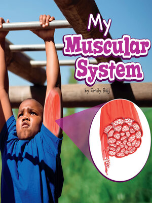 cover image of My Muscular System